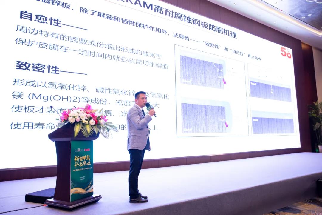 1618052631193247.jpg 53..jpg