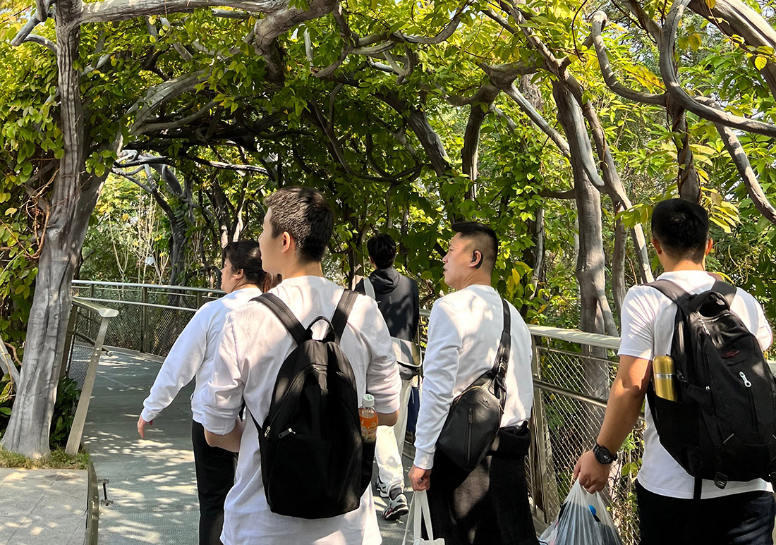 1640662046408894.jpg 3.jpg