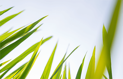 環(huán)境管理認(rèn)證